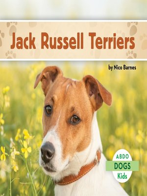 Jack Russell Terriers - ebook